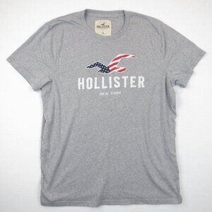 Hollister Embroidered T-Shirt Men's XL Grey USA Flag Logo New York